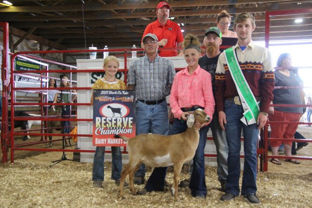 Reserve Champion Dairy Market Goat