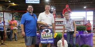 Grand Champion Turkey