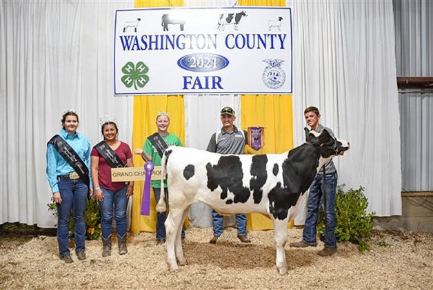 Grand Champion Dairy Feeder Steer