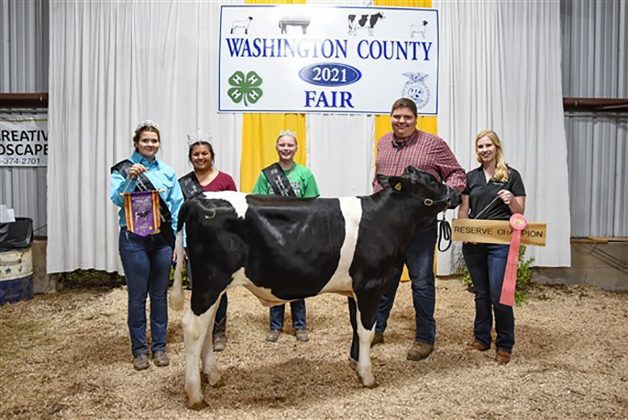 Reserve Champion Dairy Feeder Steer