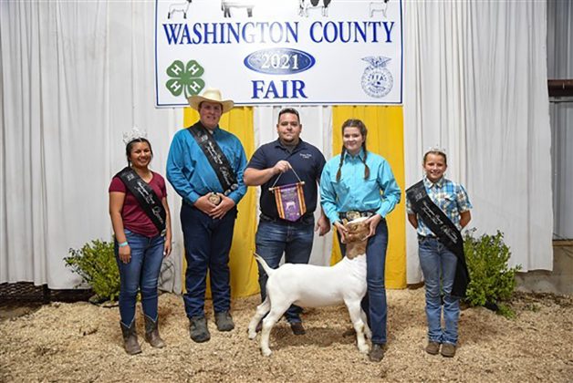 Grand Champion Goat