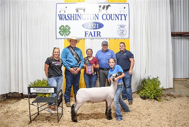 Reserve Champion Lamb