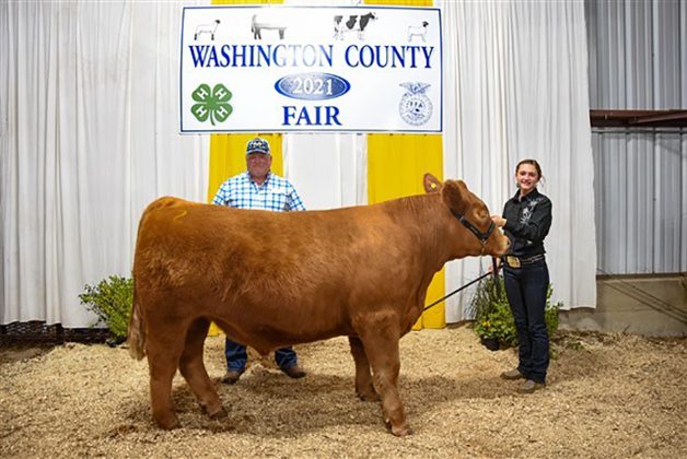 Grand Champion Steer