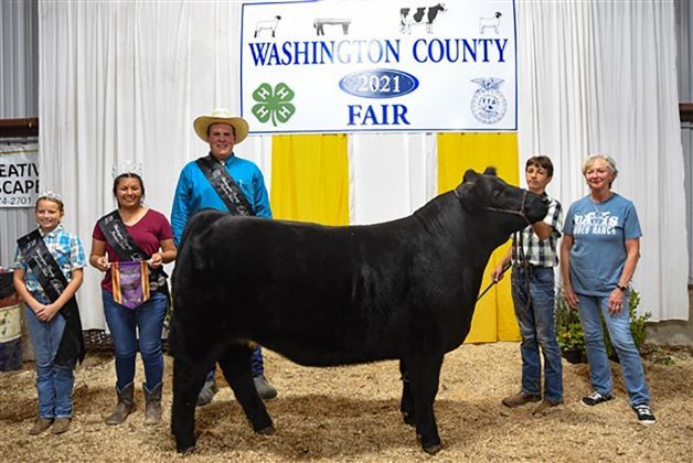 Reserve Champion Steer
