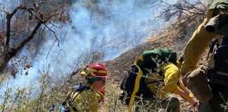 firefighters