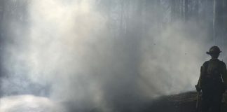 wildfire