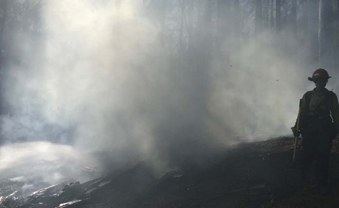 wildfire wildfire