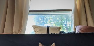 Kym Seabolt's cat, Kai