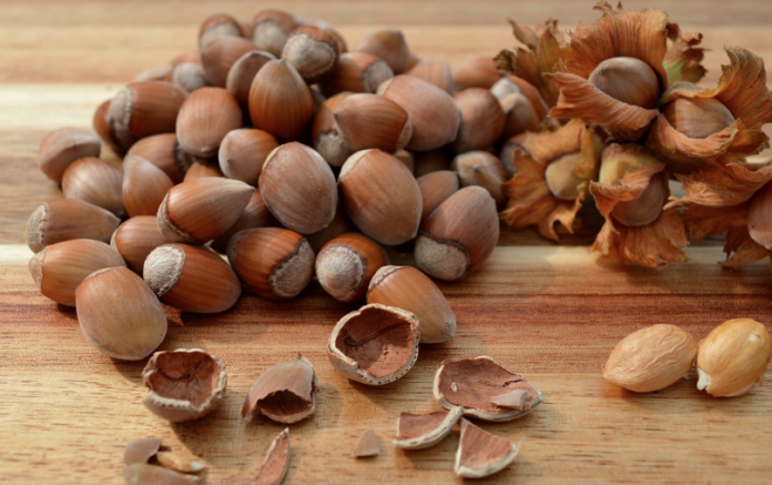 hazelnuts hazelnuts