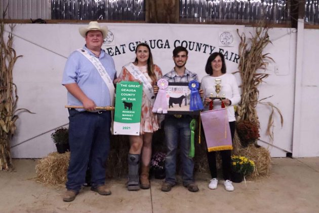 Reserve Champion Market Steer