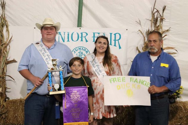 Grand Champion Ducks