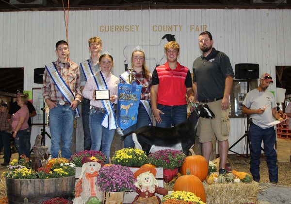 Grand Champion Dairy Goat