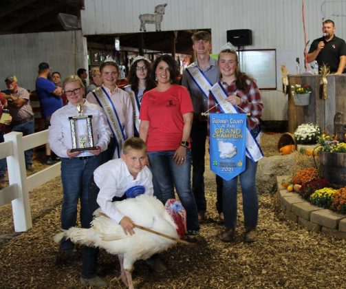 Grand Champion Turkey