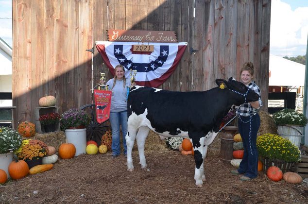 Reserve Champion Dairy Beef Feeder