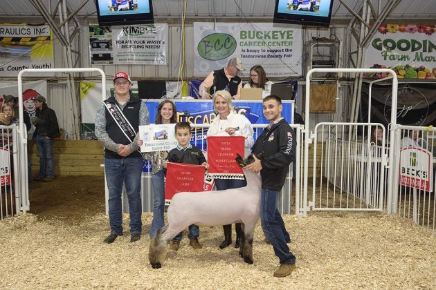 Grand Champion Lamb