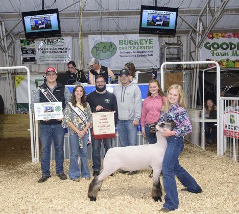Reserve Champion Lamb