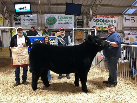 Reserve Champion Steer