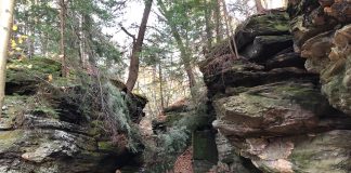 Ansel's Cave Trail