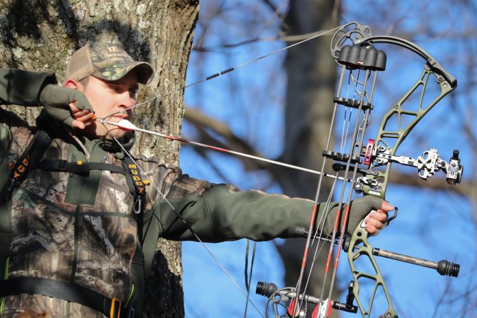 bowhunter bowhunter