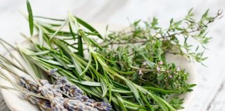 herbs