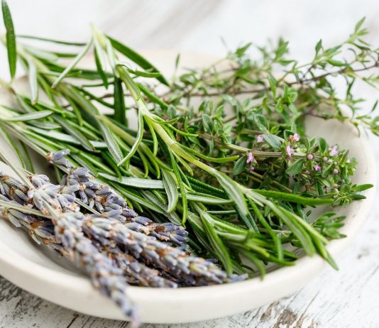 herbs