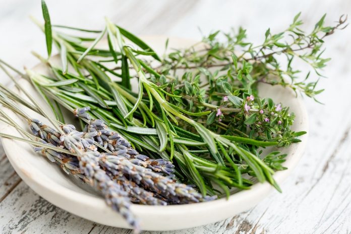 herbs herbs