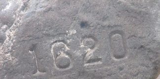 Plymouth rock