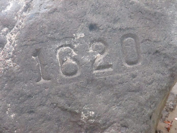 Plymouth rock Plymouth rock