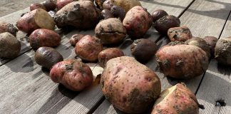 potatoes