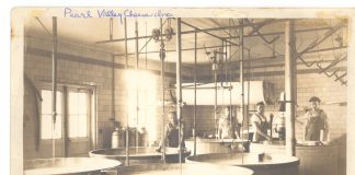 Swiss cheese factory
