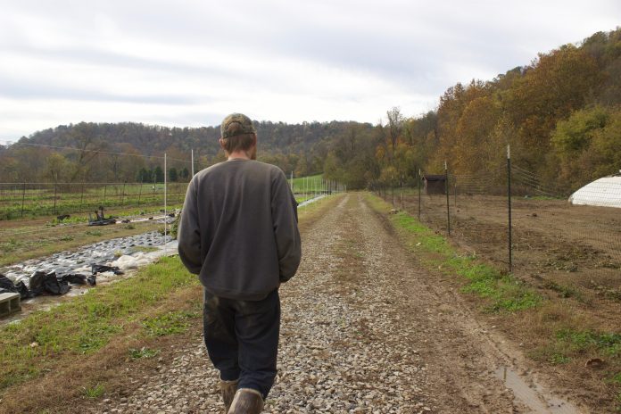wheeling_agrarian_7 A man walks down a road on a farm.