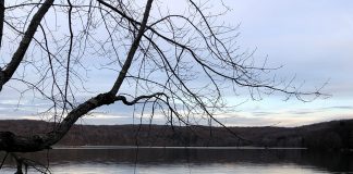 Sunken Garden Trail