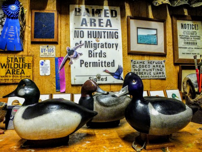 12-30_barb_mudrak_web_Decoy 2 decoy ducks