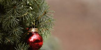 christmas tree