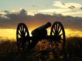 cannon