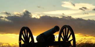 cannon