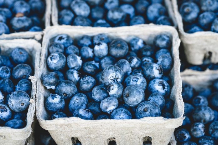 blueberries blueberries