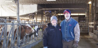 Two farmers stand in front of cows in a dairy barn.