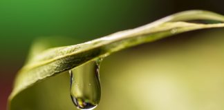 water drop