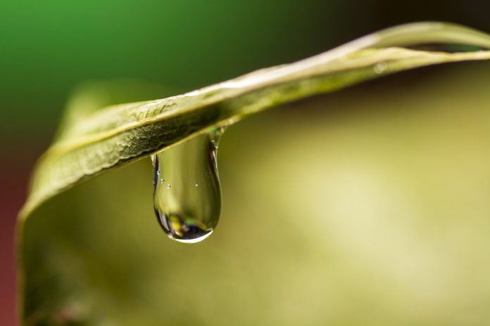 water drop water drop