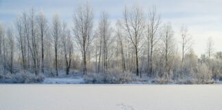 frozen lake