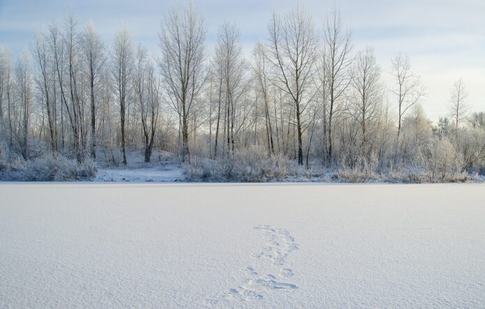 frozen lake frozen lake