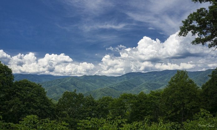 North Carolina North Carolina