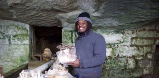 A man holds up a mushrooms growing in an old spring house.
