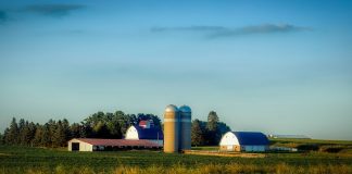 Iowa farm
