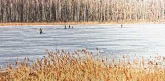 ice fishing