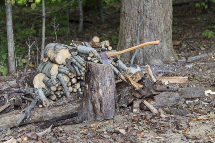 splitting wood splitting wood