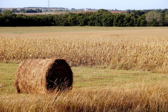 Kansas Kansas