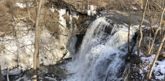 Brandywine Creek