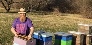 Beekeeper Dave Noble